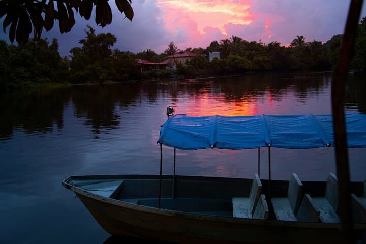 Kuala Lumpur to Kuala Selangor Fireflies Tour with Seafood Dinner