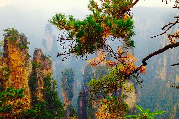 Ganztägige Tour im Zhangjiajie National Forest Park von Einheimischen