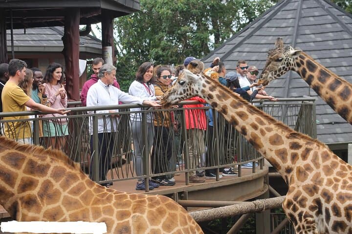 Nairobi: Karen Blixen, Beads Factory and Giraffe Center Day Tour