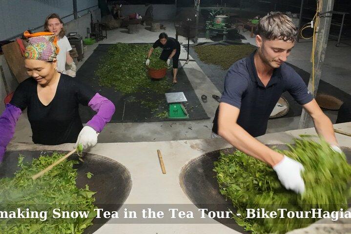 2 dagen Ancient Tea Tour en Real Homestay ten westen van Ha Giang