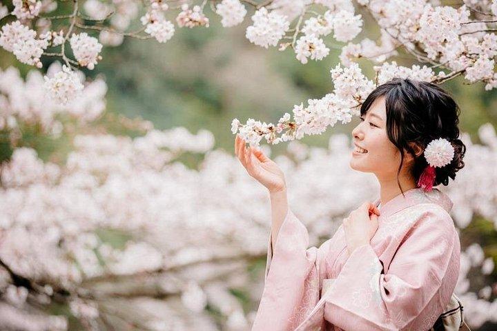 京都きもの＆浴衣レンタルでオシャレな伝統を楽しむ