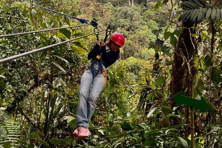 Mindo Cloud Forest Privétour: Chocolade, Koffie, Vogels, Natuur