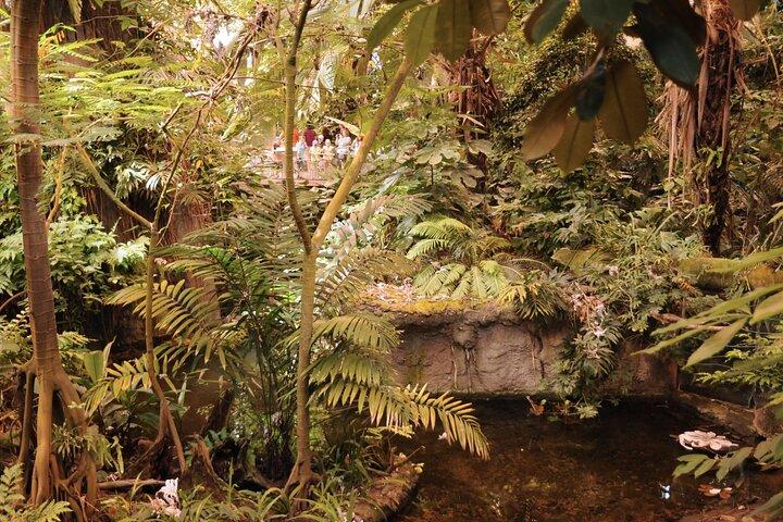 Hoppa över kön Montreal Biodome privat rundtur med biljetter