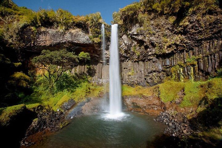 Aberdares National Park Luxury Lodge Safari 2 Days 1 Night Tour