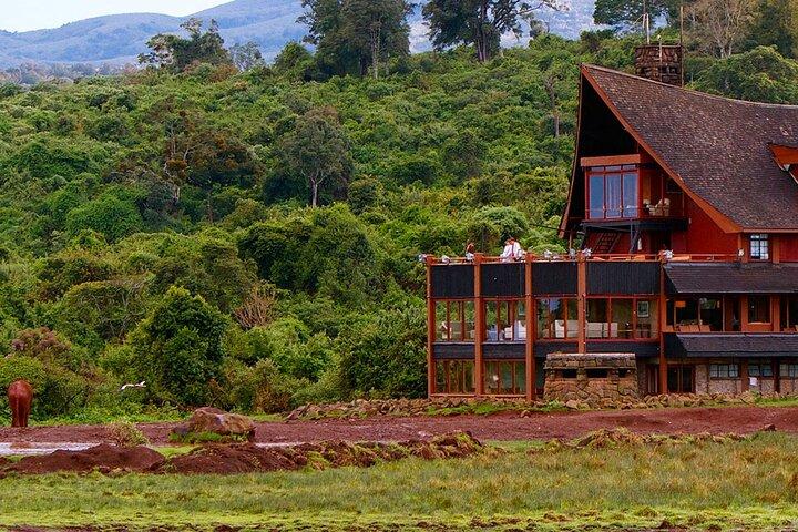 Excursion d'une journée de Nairobi au parc national d'Aberdare