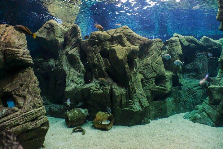 CRETAquarium Eintrittskarte auf Kreta