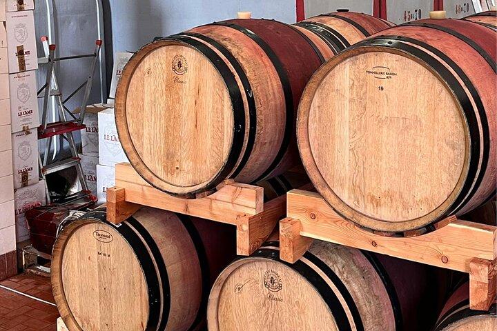 Privétour Chianti wijngaard + kasteel Brolio