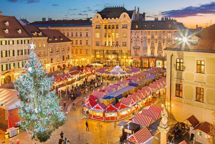 Bratislava Viaggio privato da Vienna : Castello, Città Vecchia e Tempo Libero