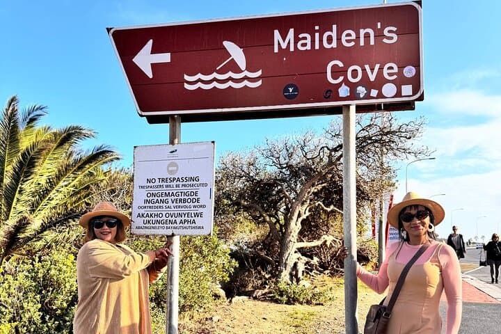 Full Day BoKaap, Penguins, Cape Point & Muizenberg Beach Tour