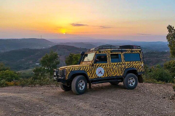 Sunset Safari