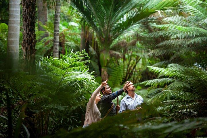 Caminhada da herança aborígine - Royal Botanic Gardens Victoria, jardins de Melbourne