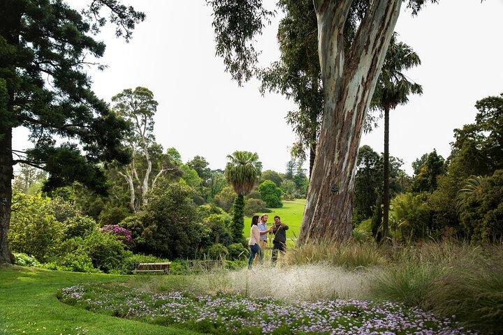 アボリジニヘリテージウォーク - 王立植物園Victoria、Melbourne Gardens