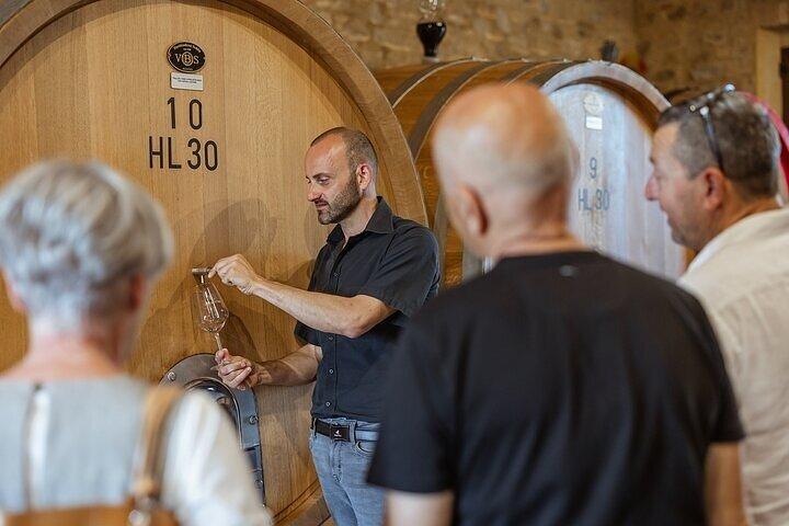 De Siena Brunello di Montalcino Wine Tour com almoço