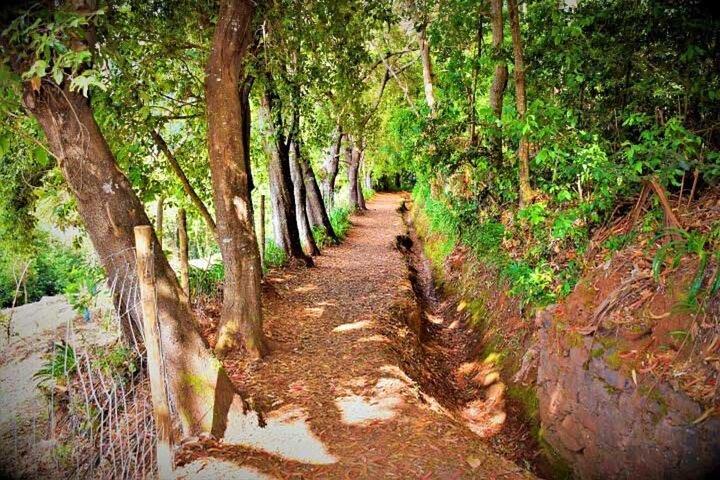 Discover Paradise Valley and Atlas Oasis & Natural Rock Pools