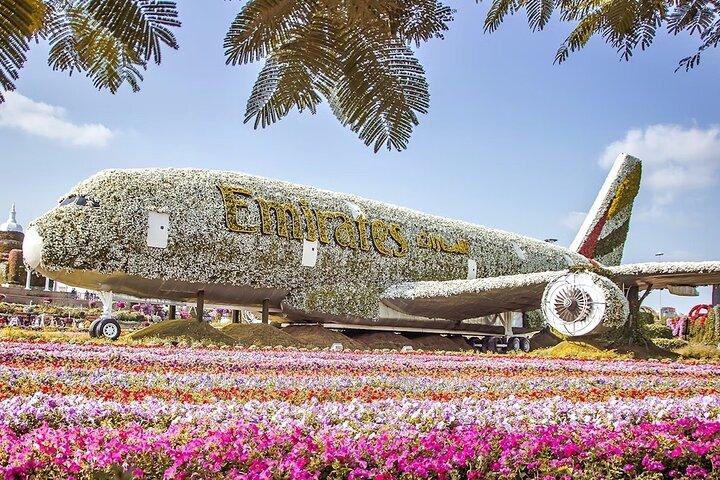 Billets Dubai Miracle Garden avec transfert aller-retour
