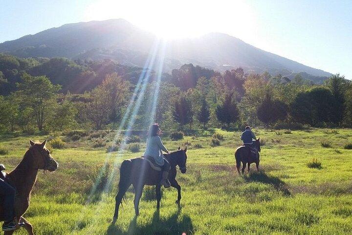 Visita compartida a las excavaciones de Pompeya con paseo a caballo y almuerzo.