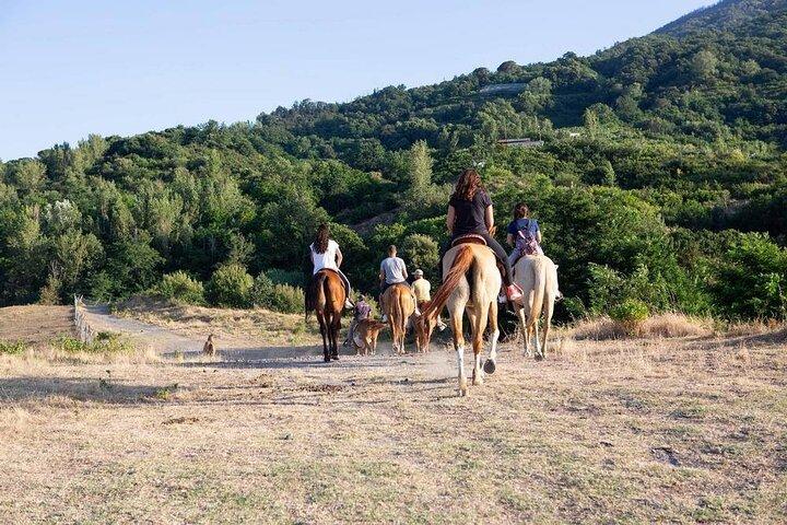Visita compartida a las excavaciones de Pompeya con paseo a caballo y almuerzo.
