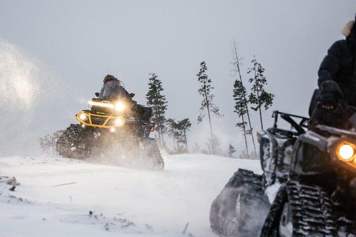 Private Expedition : INTO THE WILD サファリ＆ランチ in グラスイグルー