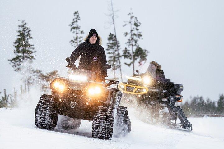Private Expedition : INTO THE WILD サファリ＆ランチ in グラスイグルー