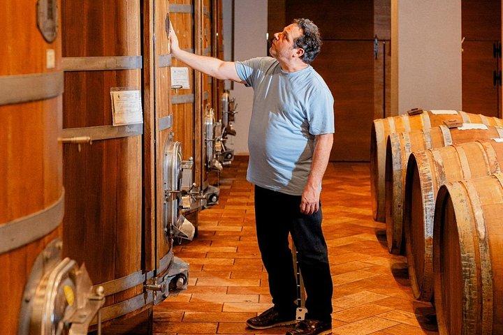 アセタイア・マルキでのバルサミコ酢のガイドツアーとテイスティング
