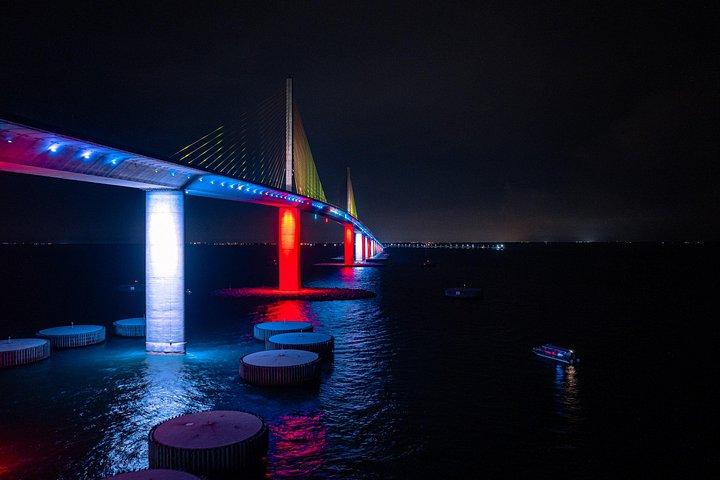 Skyway Light Show Tour Under the Stars