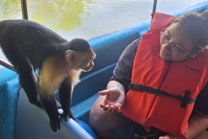 Monkey Island: Wildlife Safari ved Gatun Lake