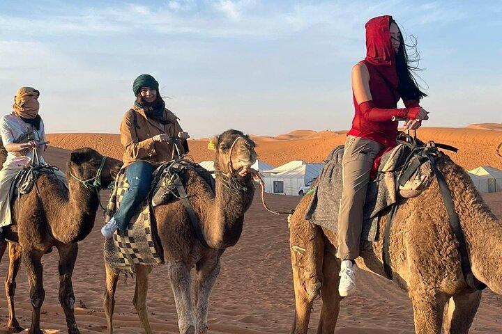 Desert Tours De Marrakech Tour De Marrakech Para Zagora 2 Dias
