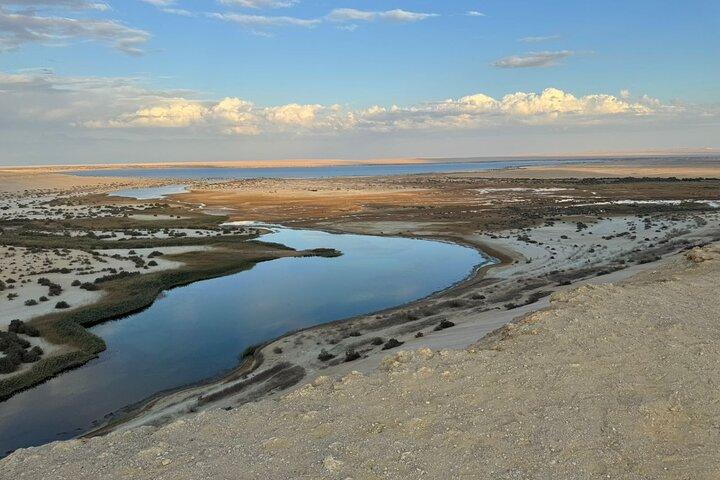 Fayoum Oasis Desert Safari 4x4 och Sandboarding med Cairo Pickup