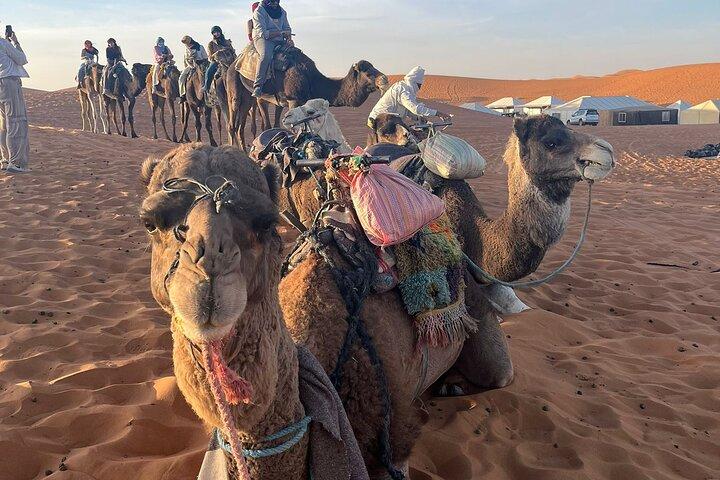 Desert Tours De Marrakech Tour De Marrakech Para Zagora 2 Dias