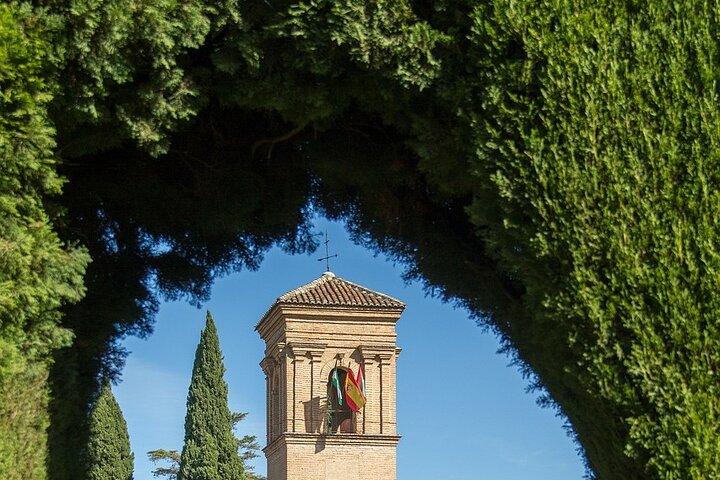 Visite privée de l'Alhambra pour groupes d'amis ou familles