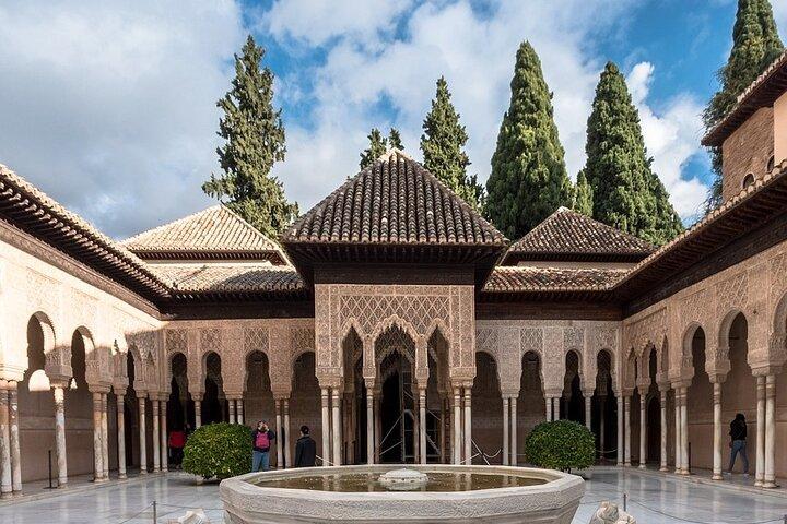 Visite privée de l'Alhambra pour groupes d'amis ou familles