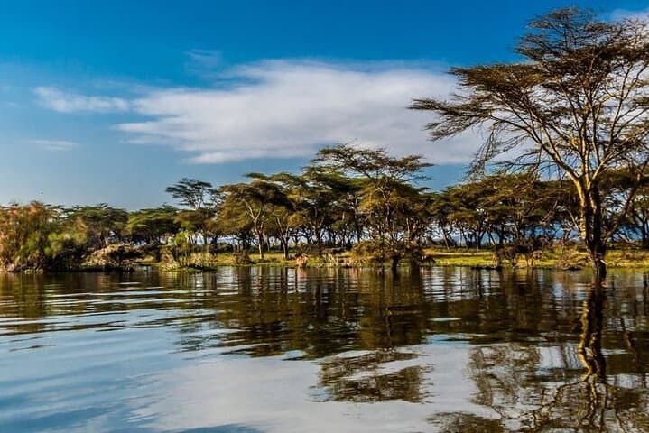 5 Days Lake Naivasha Lake Nakuru and Masai Mara Safari
