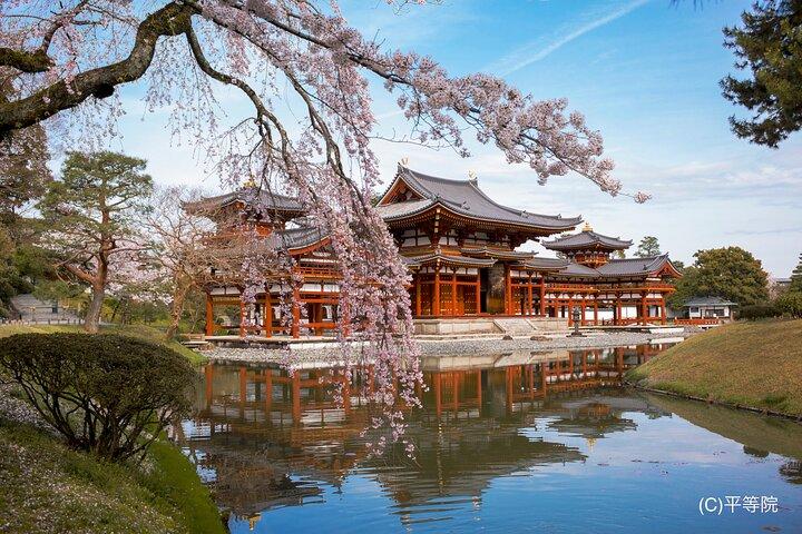 Matcha Grinding Experience und Walking Tour in Uji Kyoto