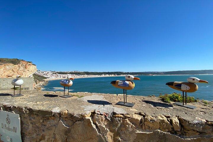 Premium Tour Between Lisbon-Porto or Porto-Lisbon with stops