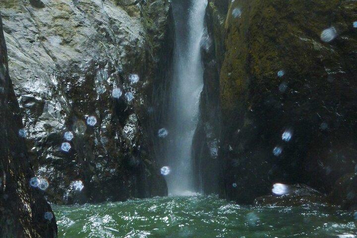 Tour Yunque y Piñones Caminata Coma y aventúrese con un local; San Juan