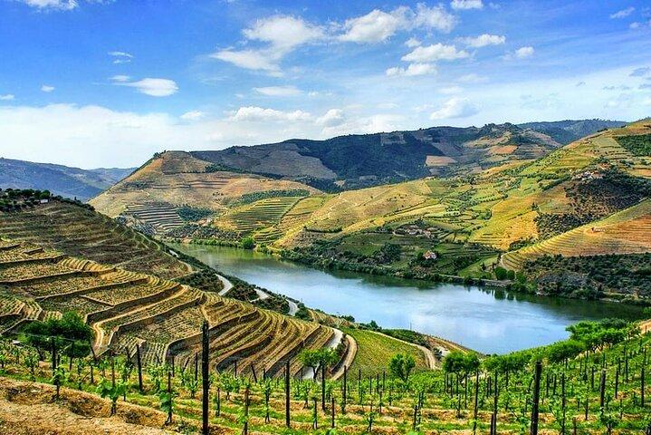 Privétransfer van Porto naar Douro Valley tot 4 haltes