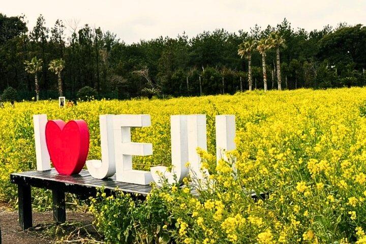 (Recogida en el hotel) Jeju EAST Canola Flower Festival Tour con UNESCO