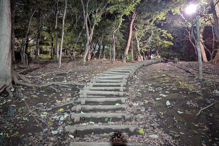 Tóquio True Crime and Ghost Stories Tour