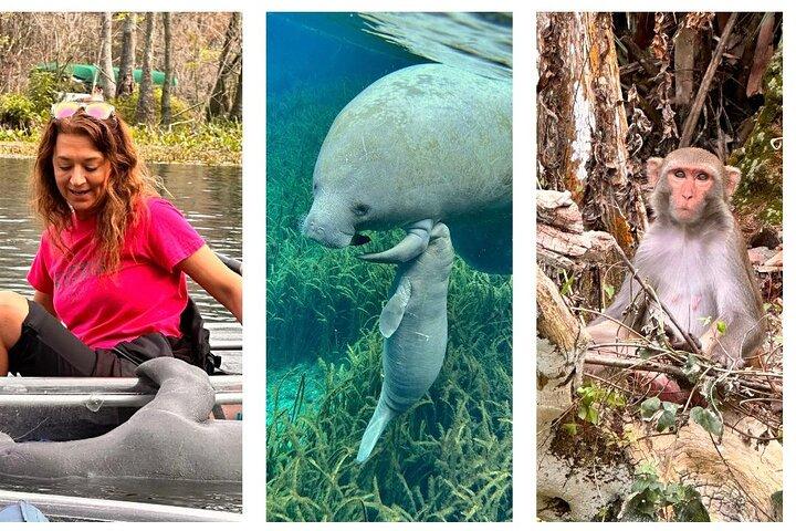 Silver Springs Clear Kayak Manatee, Monkey & Wildlife Adventures aan Favorieten toegevoegd
