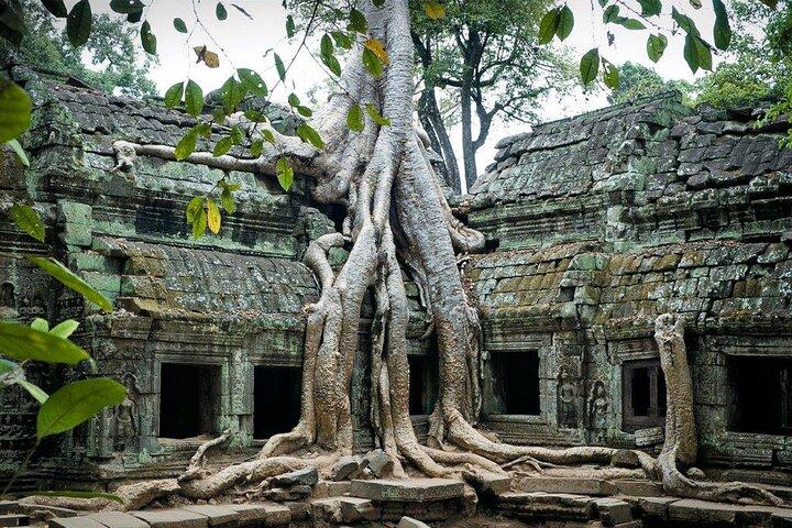Siem Reap: Angkor Wat Explore The Most Iconic Temples
