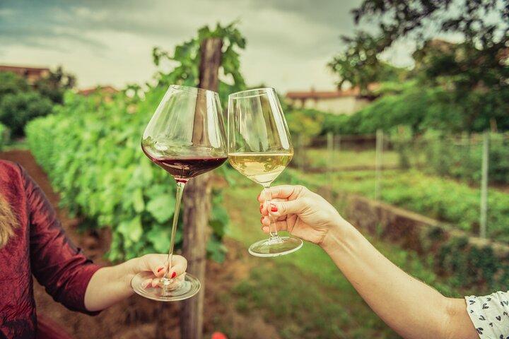 Tour privato di lusso: Antica Nemea & Top Wine Tasting Experience