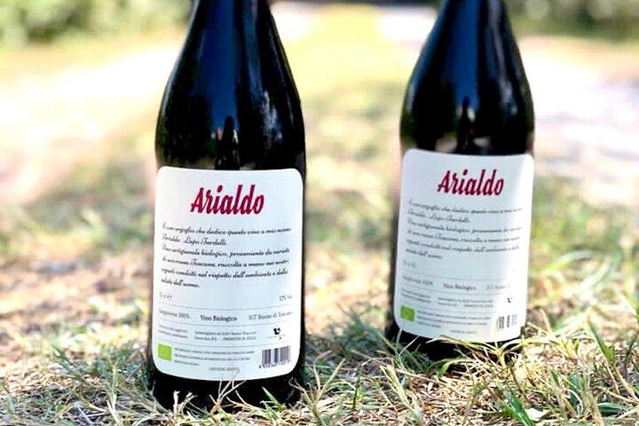 私のトスカーナの農場-ワイン、パスタ＆ブドウ畑を一日で
