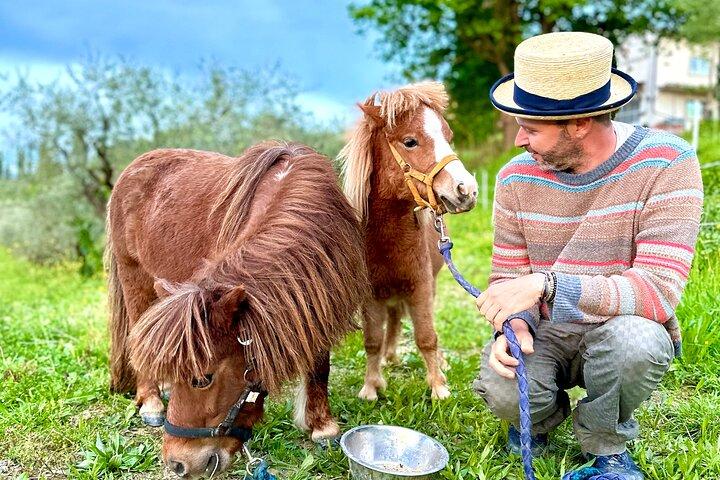 Mijn Toscaanse boerderij - Wijn, pasta en wijngaard in één dag
