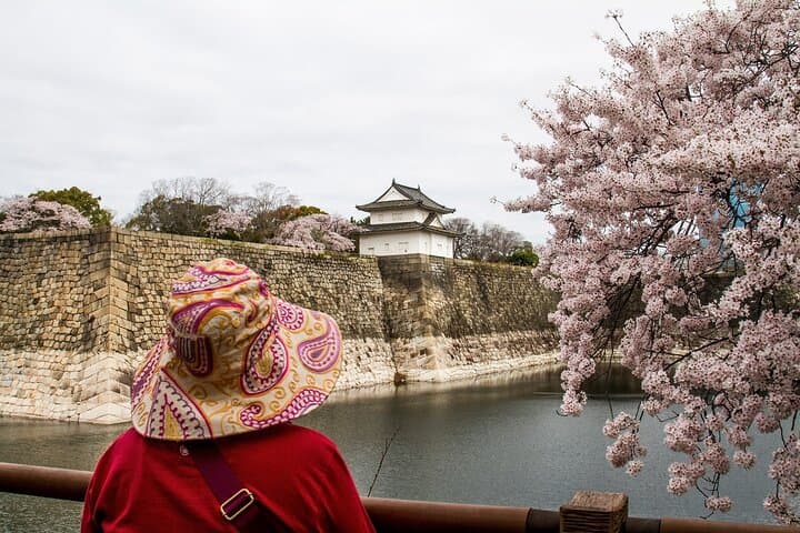 Osaka Castle & Samurai Tour: Entry Included Option