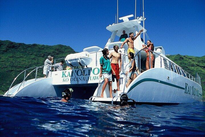 Crucero de lujo con reloj de delfines y buffet local