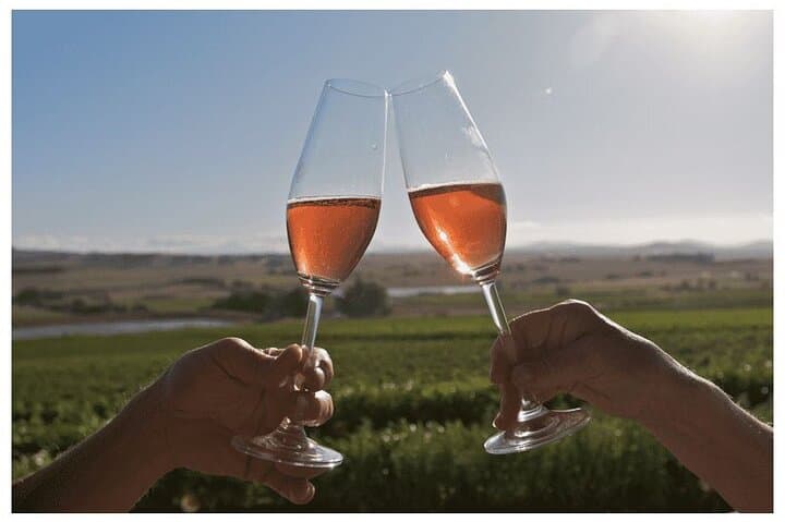 Wine Tasting Private Tour - Hotel Pickup incl. CAPE TOWN