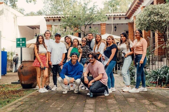 Ticket to Frida Kahlo Museum on CDMX + Audio Guide