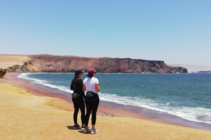 イカまたはワカチナからバジェスタス島とパラカス国立保護区