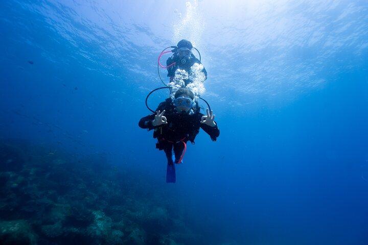 Probieren Sie Scuba Diving auf Cook Island – Geführter Ozeantauchgang mit Schildkröten