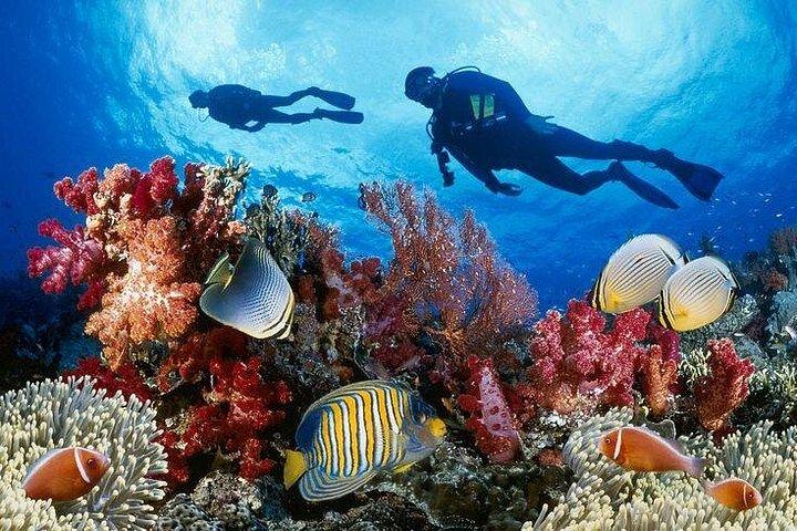 スリランカ豪華ツアーパッケージ14日間